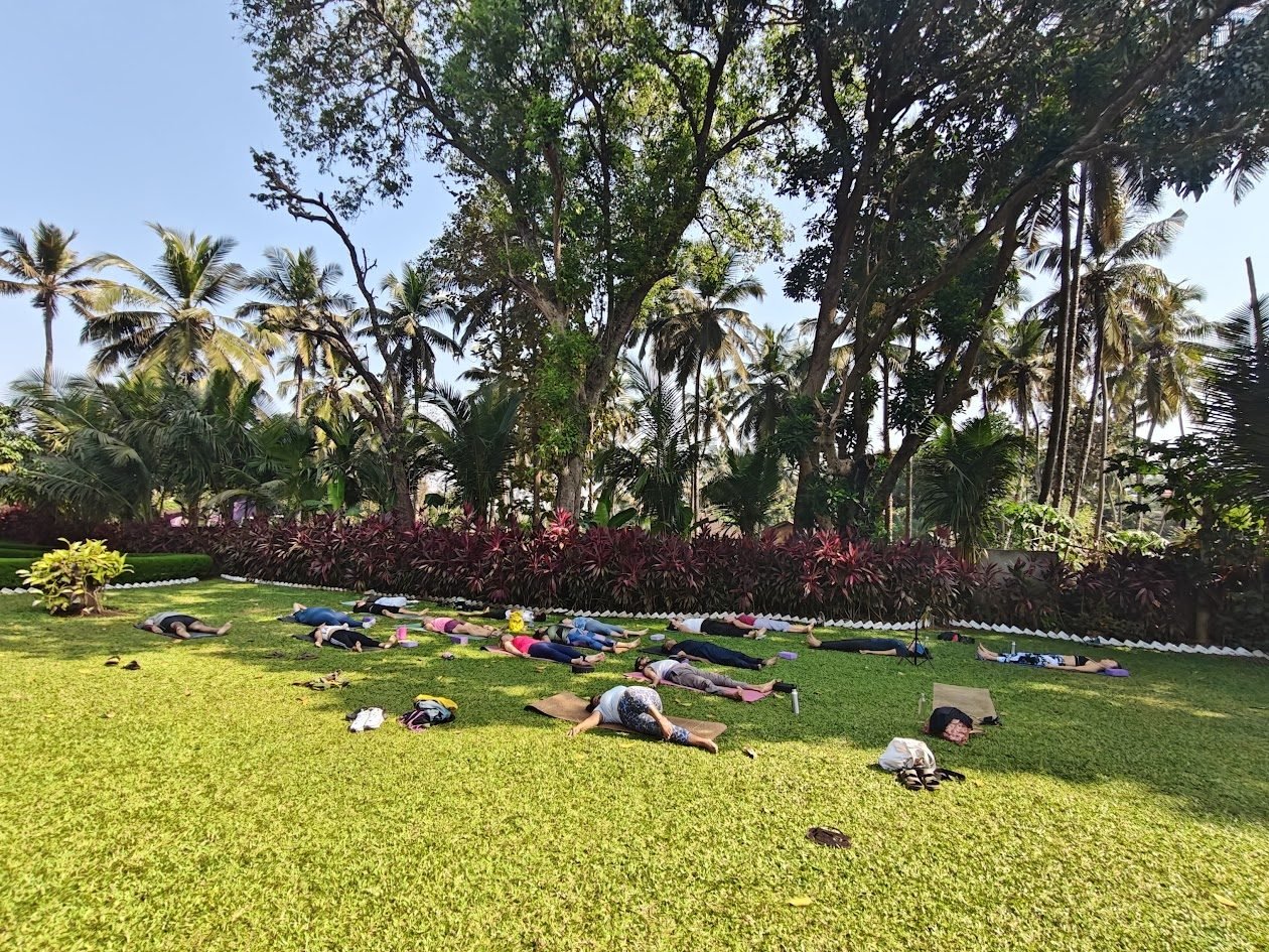 La Waha Yoga Nidra outdoor class under palm trees in Goa